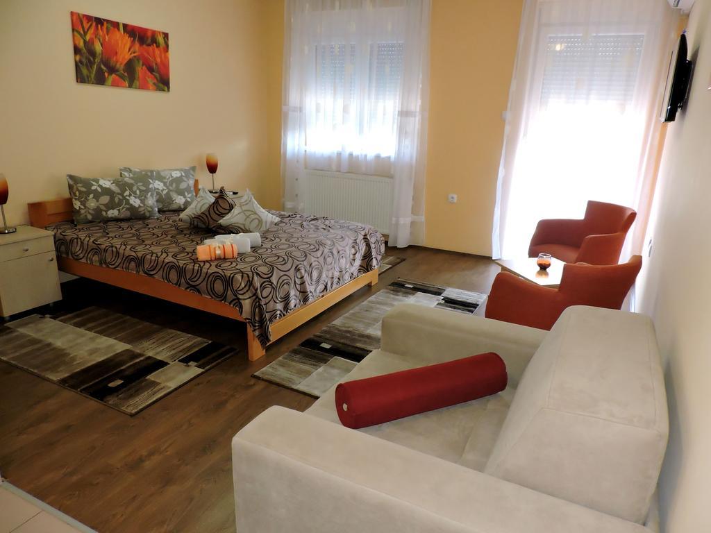 B&B Zmajevo Gnezdo 021 Sremska Kamenica 객실 사진