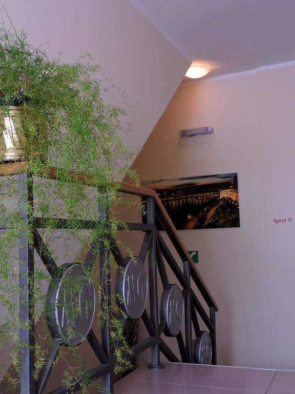 B&B Zmajevo Gnezdo 021 Sremska Kamenica 외부 사진