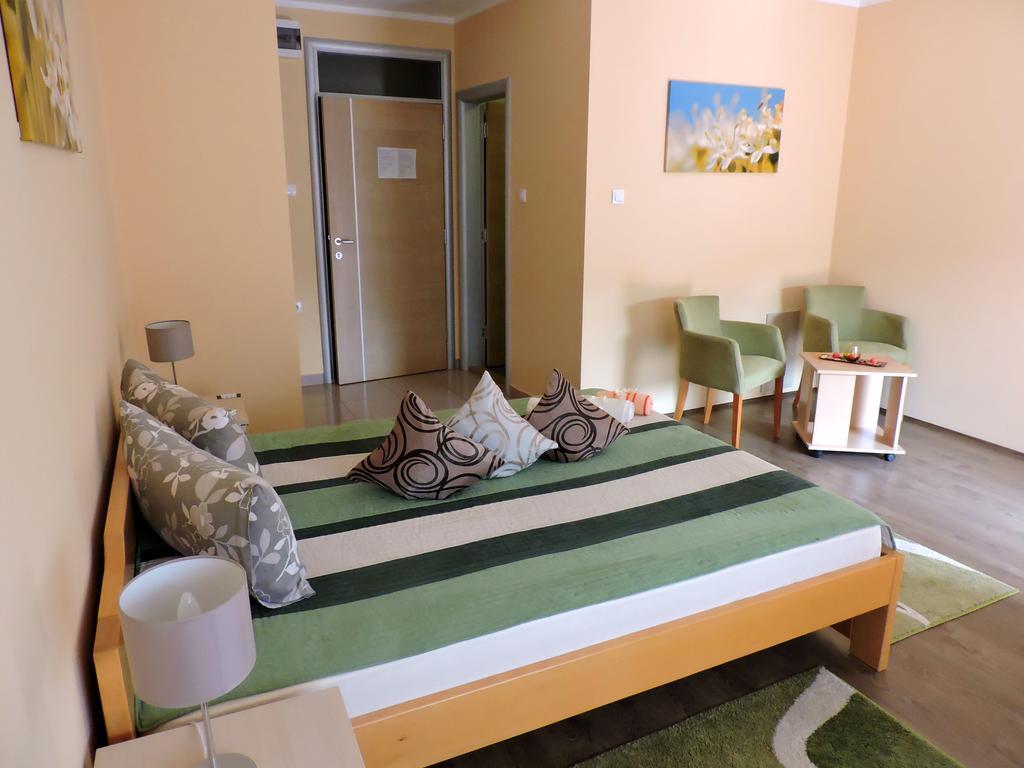 B&B Zmajevo Gnezdo 021 Sremska Kamenica 객실 사진