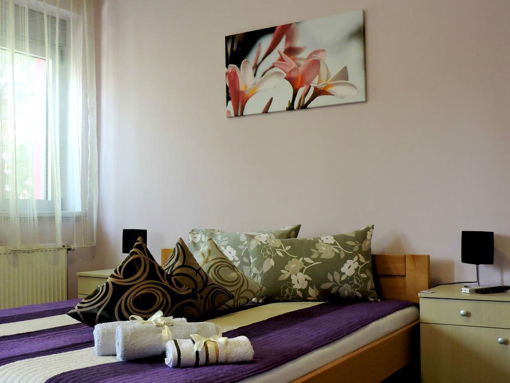B&B Zmajevo Gnezdo 021 Sremska Kamenica 객실 사진