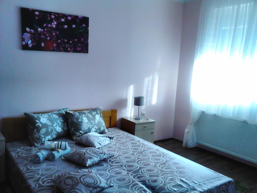 B&B Zmajevo Gnezdo 021 Sremska Kamenica 외부 사진
