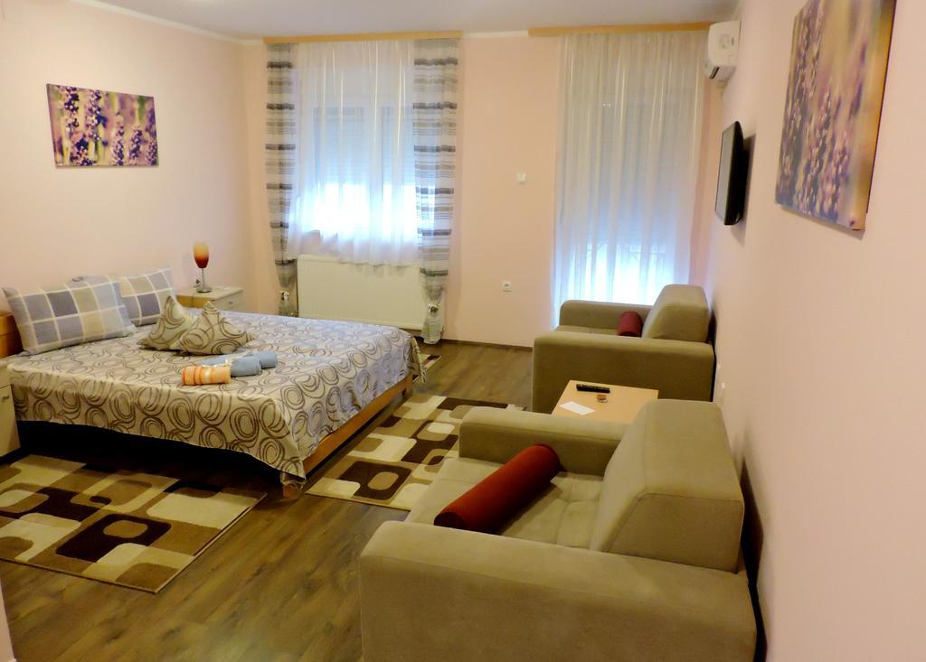 B&B Zmajevo Gnezdo 021 Sremska Kamenica 외부 사진